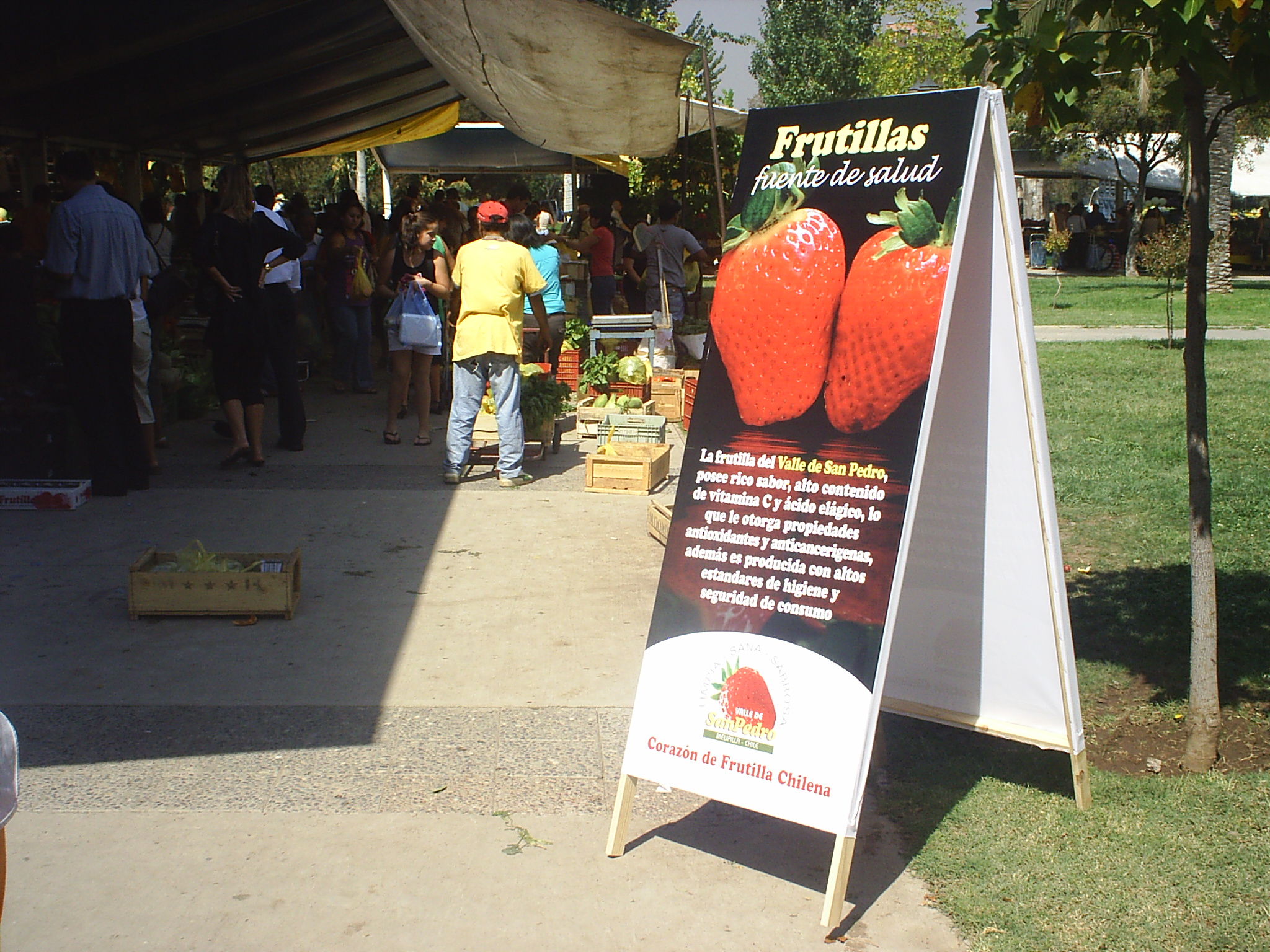 Feria_Paruqe_Los_Dominicos_4.JPG