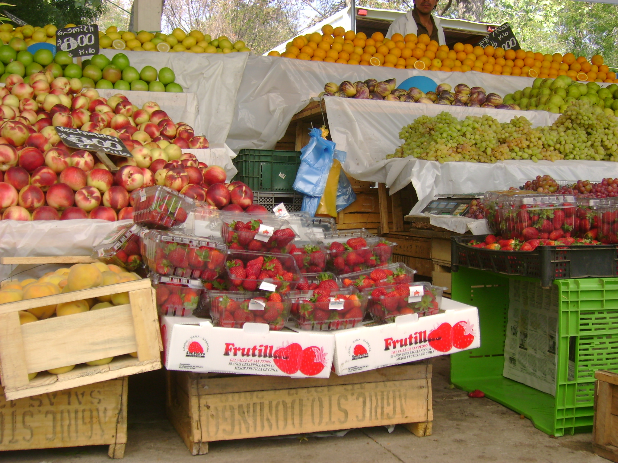 Feria_Paruqe_Los_Dominicos_1.JPG